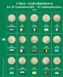 Альбом - 6 томов для памятных монет Евросоюза - 2 Евро, с футляром 7341-0 фото 7